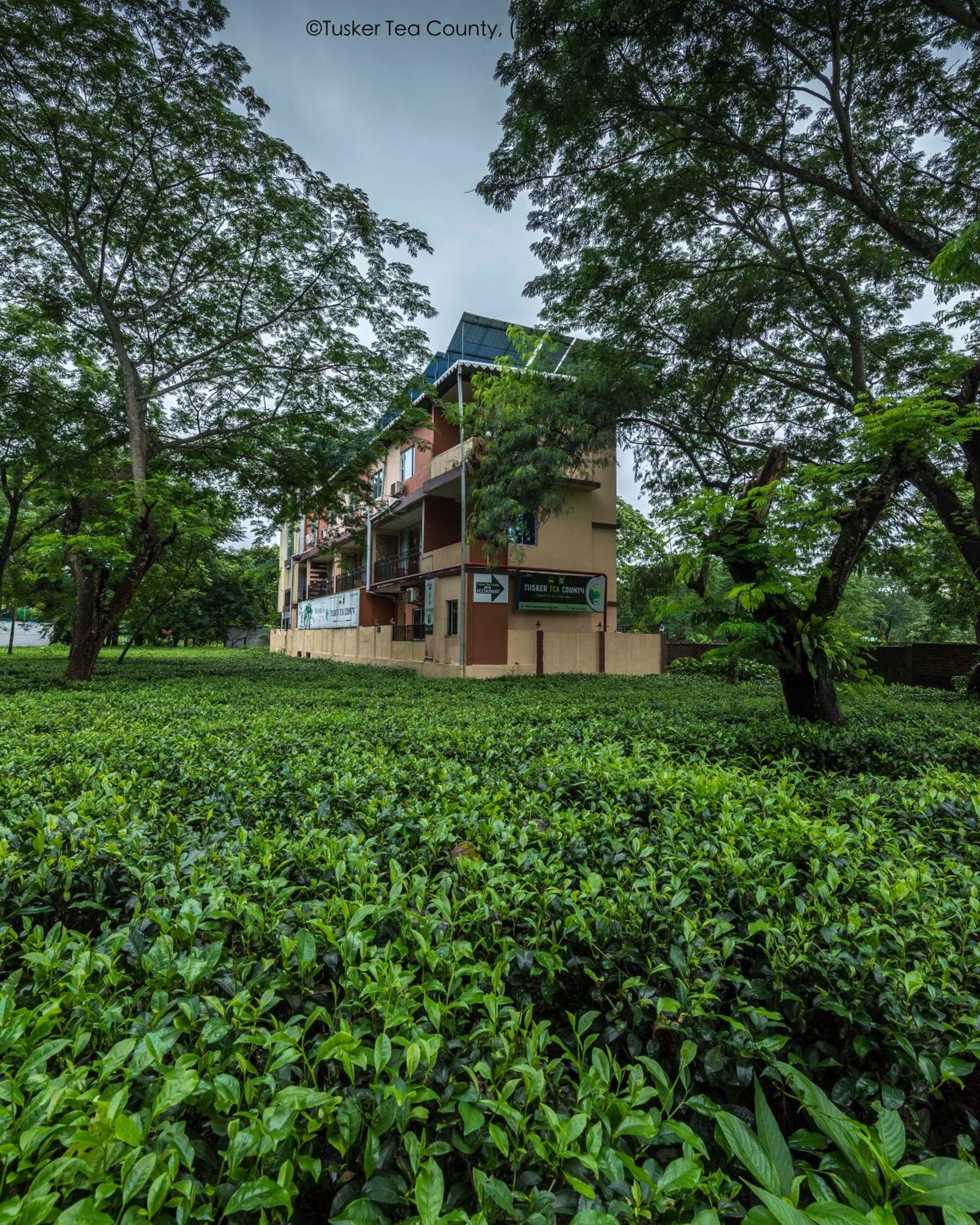 Tusker Tea County Hotel Chalsa Exterior photo